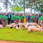 Projet d'élevage de porcs dans 85 familles au Rwanda